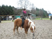 /album/hondjes-wel-te-vree/dsci1299-jpg/