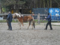 /album/hondjes-wel-te-vree/dsci1312-jpg/