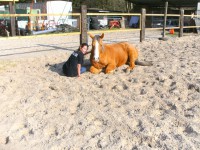 /album/hondjes-wel-te-vree/bild4311-jpg/