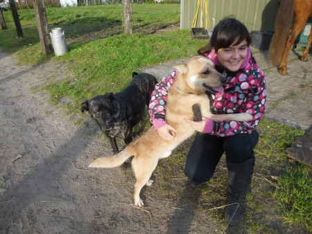 dayson 2 weken bij mij , super lieve hond ,die nu kan rond lopen en spelen met de rest , 